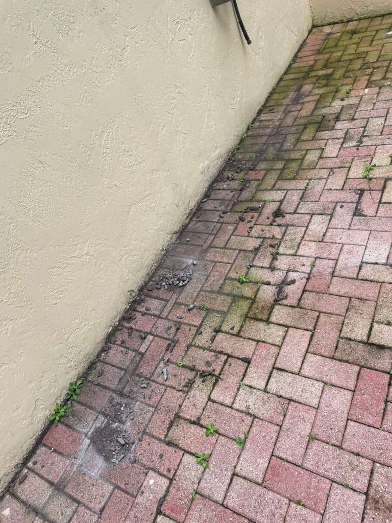 Garden Cleanup - Before professional lawn care and landscaping service by The Fresh Feel in South Florida